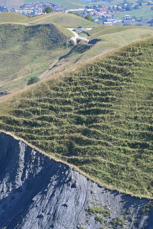 2019-08 Savoie/Aiguilles d'Arves/DSC_1409.JPG